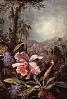 Orchids passion flower and hummingbirds by Martin Johnson Heade